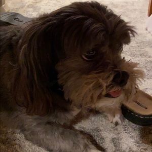 Meet your Posher, Denise